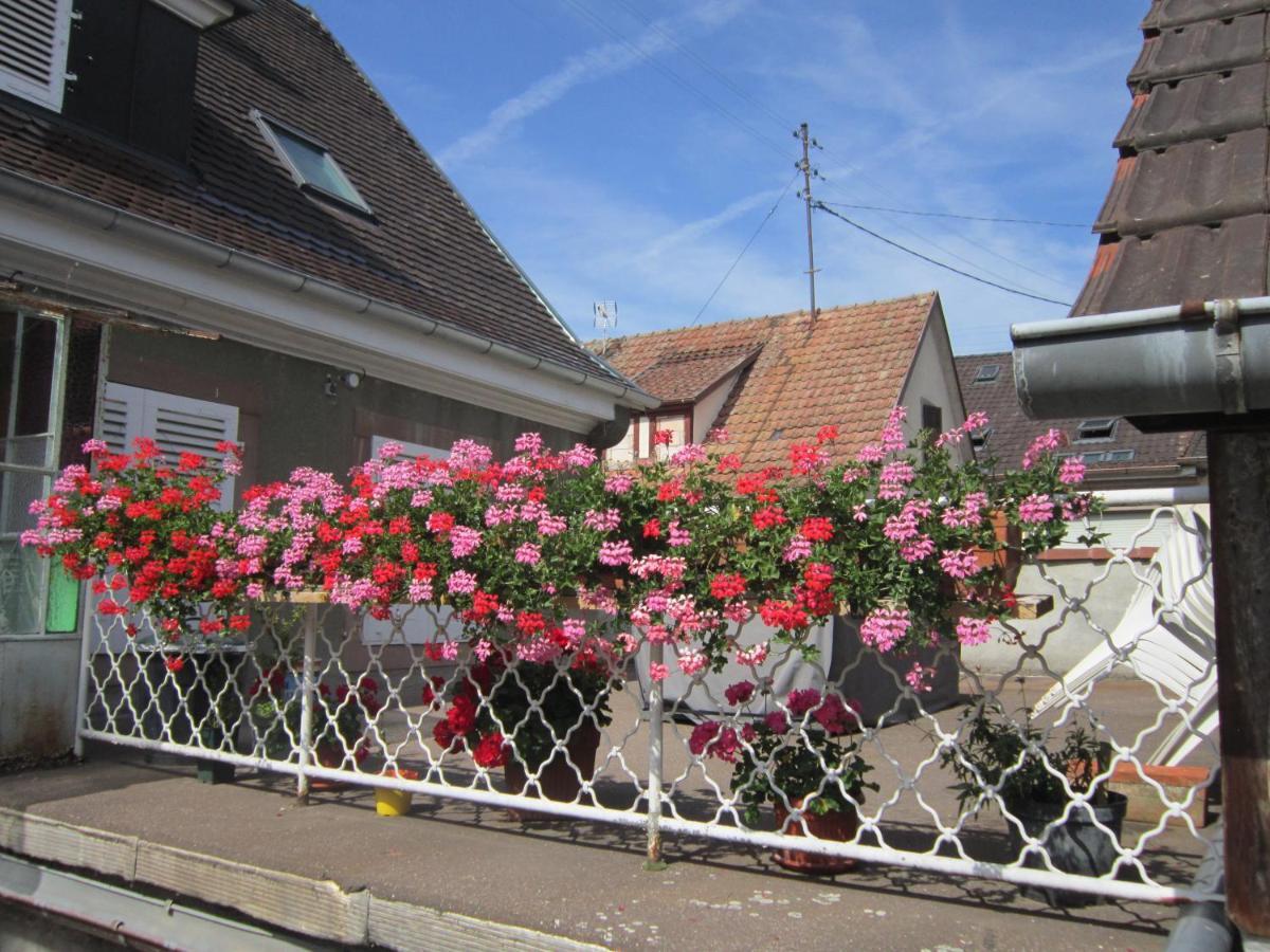 Gite Faubourg Des Pierres Sigolsheim Zewnętrze zdjęcie